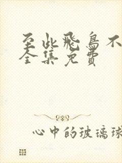 至此飞鸟不相逢全集免费