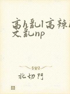 高h乱l高辣h文乱np