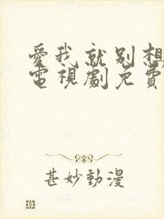 爱我就别想太多电视剧免费观看全集封面