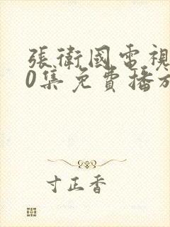 张卫国电视剧40集免费播放