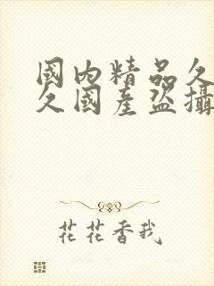 国内精品久久久久国产盗摄封面