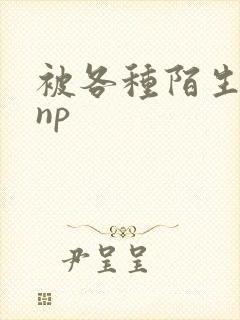 被各种陌生人 np