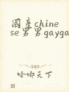 国产chinese男男gaygay网站封面