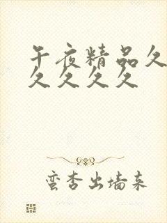 午夜精品久久久久久久久