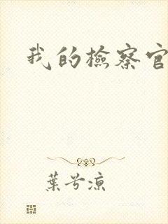 我的检察官先生封面