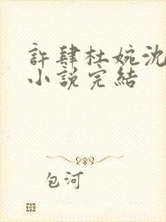 许肆杜婉沈静初小说完结