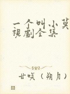 一个叫小莫的电视剧全集封面