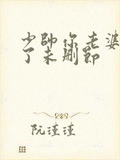 少帅你老婆又跑了未删节