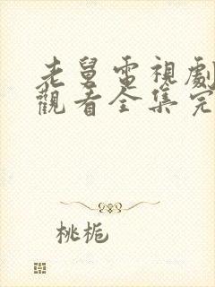 老舅电视剧免费观看全集完整版高清