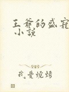 王爷的盛宠娇妻 小说