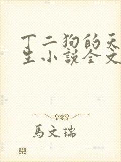 丁二狗的天梯人生小说全文免费阅读
