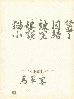 猫娘被囚禁雌堕小说完结了吗