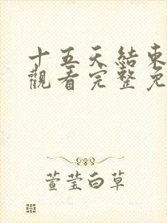 十五天结束在线观看完整免费高清原声