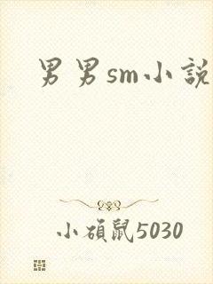 男男sm小说