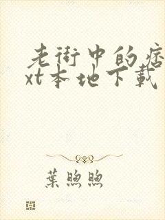 老街中的痞子txt本地下载