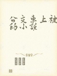 公交车上被人摸的小说