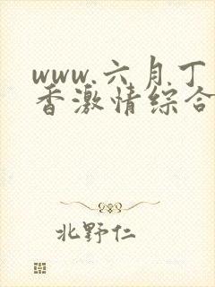 www.六月丁香激情综合