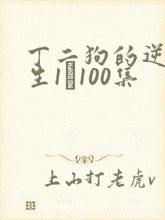 丁二狗的逆袭人生1–100集