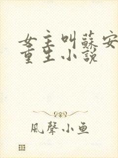 女主叫苏安然的重生小说