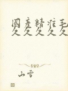 国产精准毛片久久久久久久av