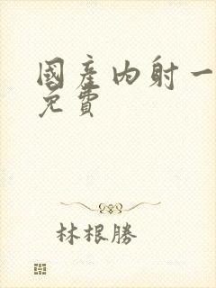 国产内射一级片免费