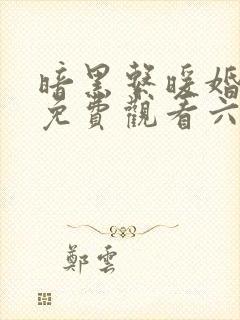 暗黑系暖婚漫画免费观看六漫画封面