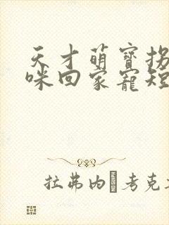 天才萌宝拐个妈咪回家宠短剧