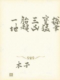 一胎三宝总裁爹地超凶猛笔趣阁