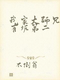 我家大师兄脑子有坑第二