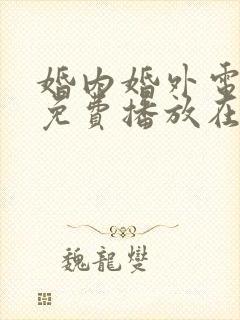 婚内婚外电视剧免费播放在线观看