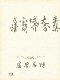 《小城大事》剧情简介分集