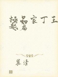 极品家丁王鹏穿越篇