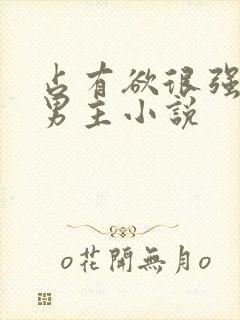 占有欲很强的双男主小说封面