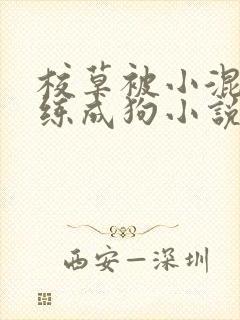 校草被小混混调练成狗小说免费阅读