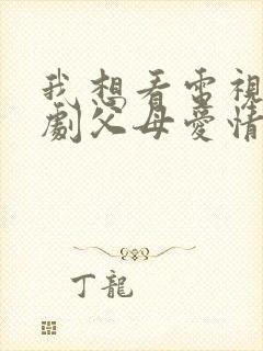 我想看电视连续剧父母爱情封面