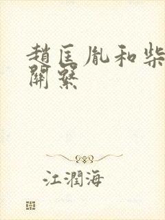 赵匡胤和柴荣的关系