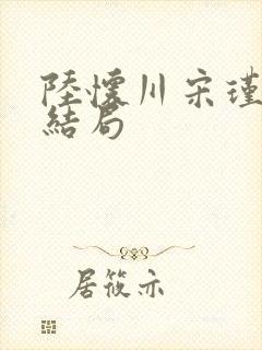 陆怀川宋瑾乔大结局封面