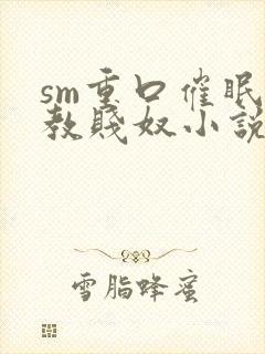 sm重口催眠调教贱奴小说