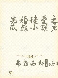 先婚后爱之宠妻成瘾小说免费阅读