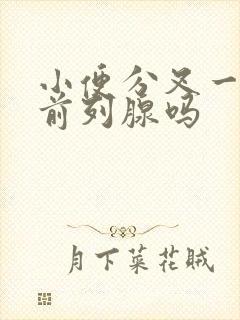 小便分叉一定是前列腺吗