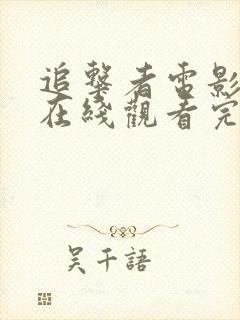 追击者电影高清在线观看完整版