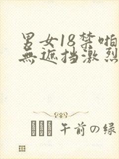 男女18禁啪啪无遮挡激烈