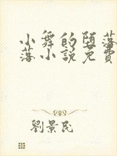 小舞的堕落与堕落小说免费阅读