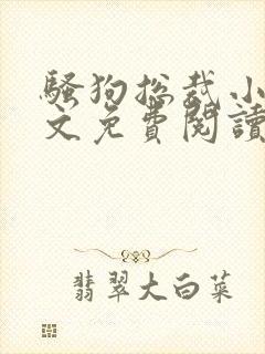 骚狗总裁小说全文免费阅读最新章节