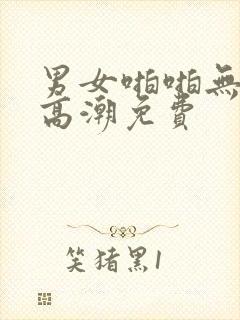 男女啪啪无遮挡高潮免费