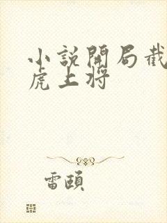 小说开局截胡五虎上将