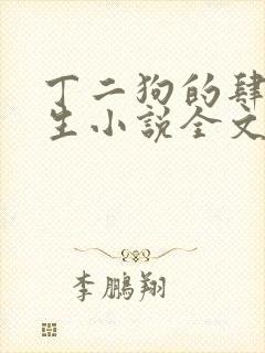 丁二狗的肆意人生小说全文听