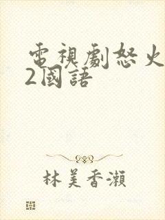 电视剧怒火街头2国语