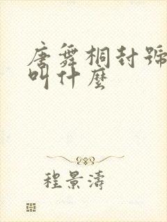 唐舞桐封号斗罗叫什么