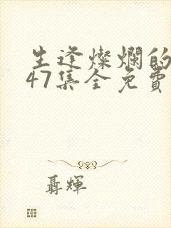 生逢灿烂的日子47集全免费观看